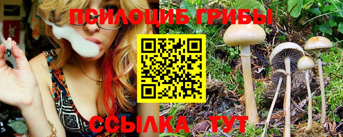 Псилоцибиновые грибы MAGIC MUSHROOMS Майский