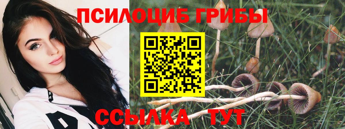 Галлюциногенные грибы Майский