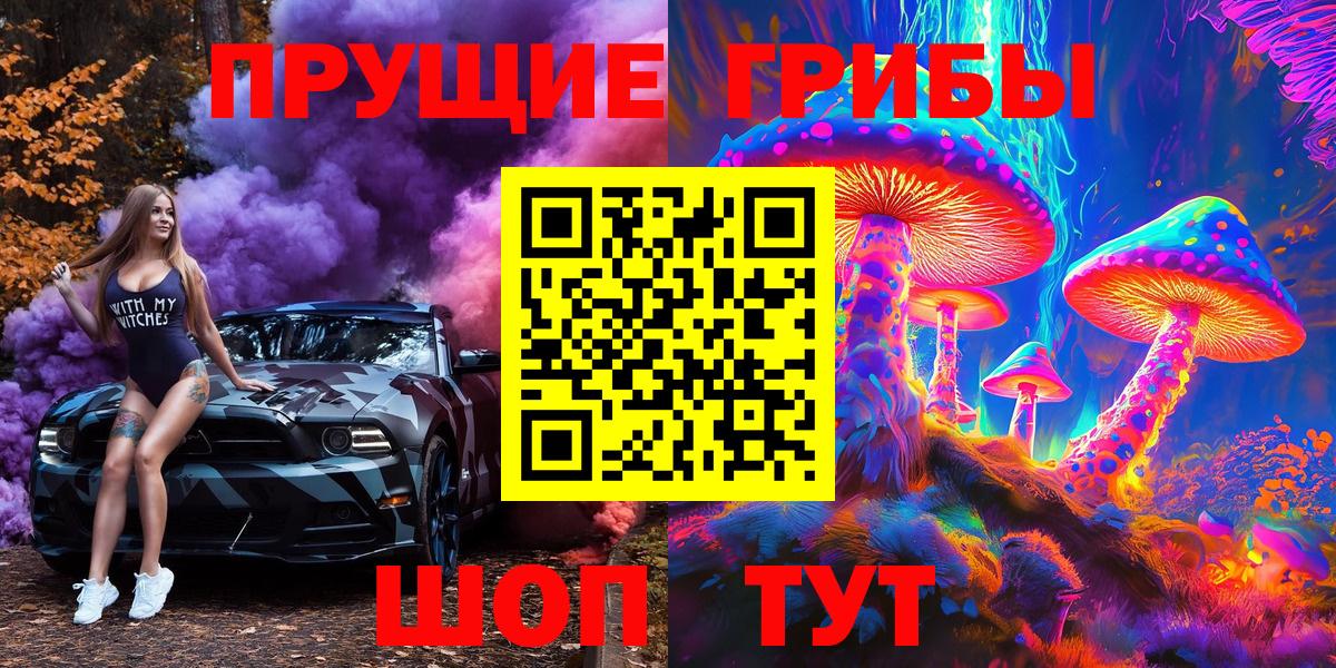 магазин    Вход с VPN  Псилоцибиновые грибы прущие грибы  Майский  Псилоцибиновые грибы GOLDEN TEACHER 